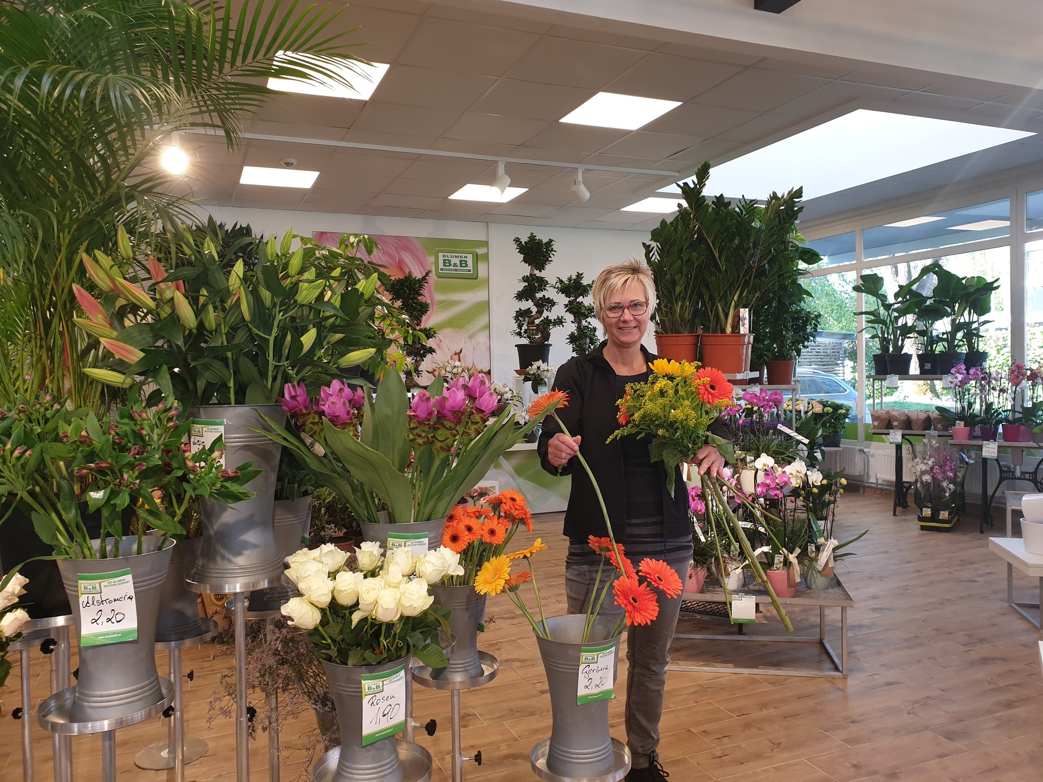 Blumen und Pflanzen Mehr Flowerpower für die Landeshauptstadt Klagenfurt
