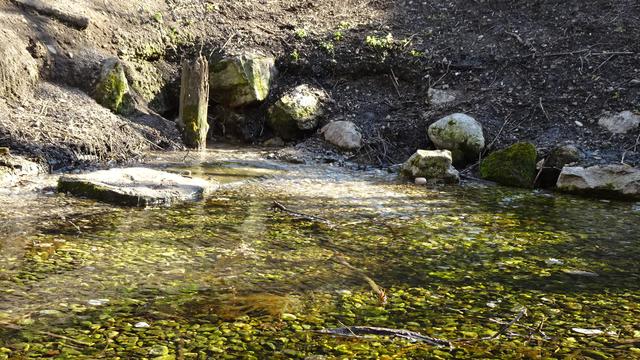 Titelbild: Der Fischa-Ursprung im Gemeindegebiet von Haschendorf