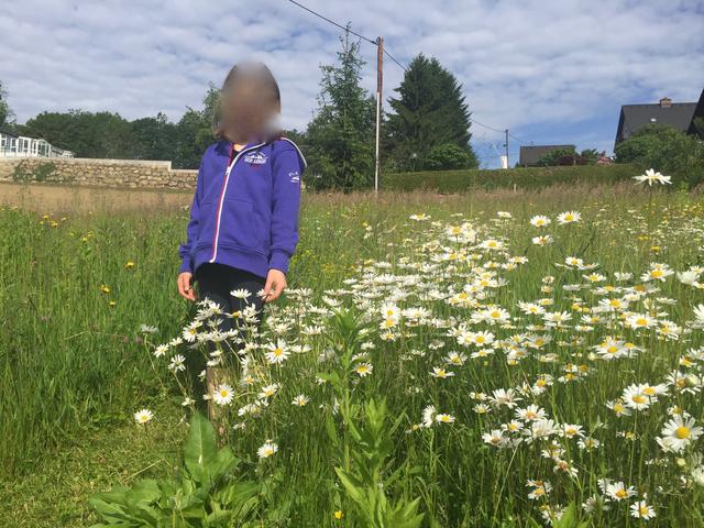 Danach machte unsere Enkelin mit uns einen Gartenrundgang.
