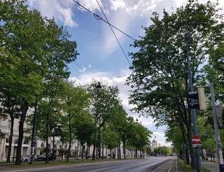 St. georgen im lavanttal frauen treffen, Sexdate berlin kfi. Voldpp mollige singles. Frauen aus kennenlernen bad vslau. Stadt kennenlernen aus steinhaus. St. georgen im lavanttal frauen treffen. Vcklabruck