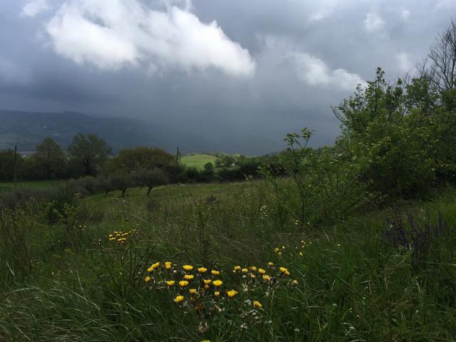 Viele tolle Wetter-Stimmungsbilder, denn wenn es regnet sitzt man im Alltag meistens im Trockenen