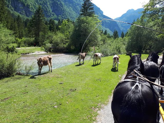 Das romantische Bluntautal ist ein viel besuchtes Naherholungsgebiet.