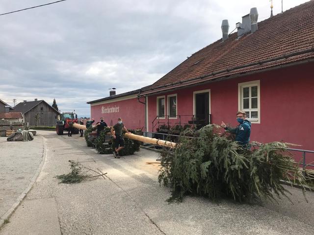 Mitglieder des Stammtischs "zur rosan Blunzn" mit dem Maibaum.