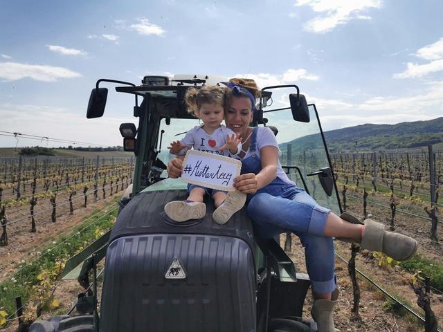 Kaufmann, Gumpoldskirchen | Foto: Weinland Thermenregion