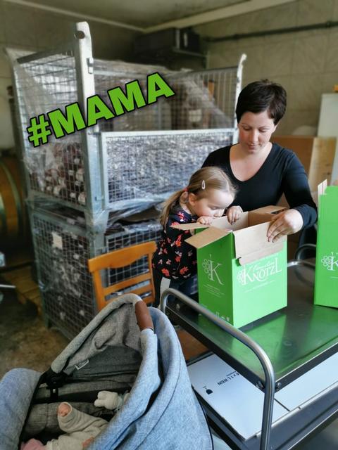 Knötzl, Tattendorf | Foto: Weinland Thermenregion