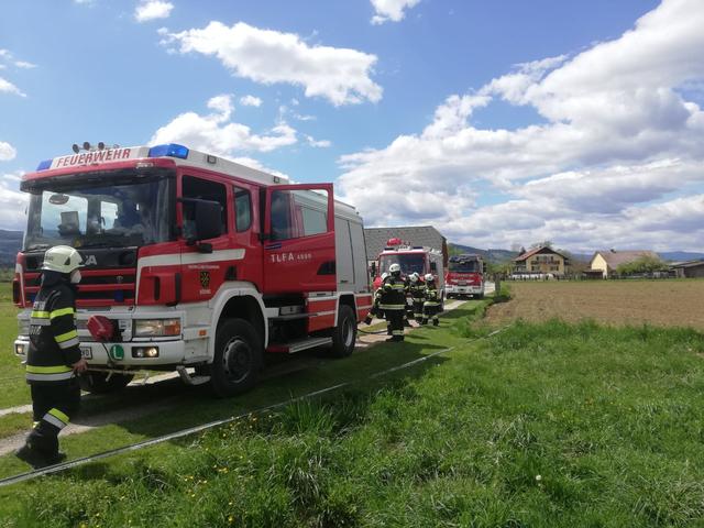 Die Feuerwehren Söding und Hallersdorf waren bei einem Tujenheckenbrand im Einsatz. | Foto: FF Söding