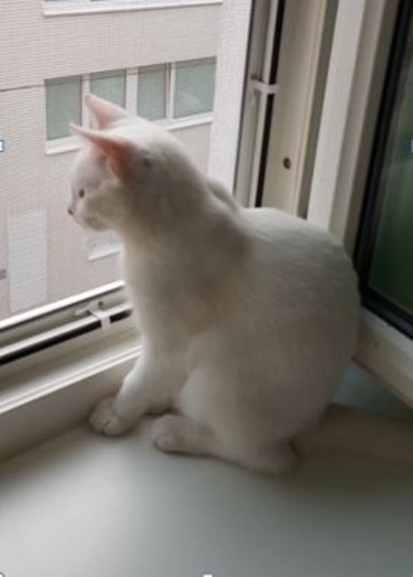 die kleine Daisy ist sicher | Foto: Peter Havel