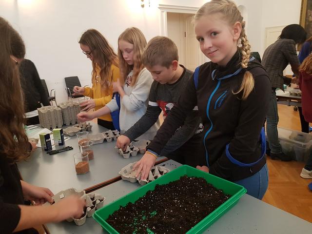Die Schüler am BRG Oberschützen zeigen ihre Interesse an den MINT-Fächern. | Foto: GYM Oberschützen