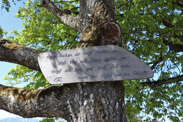 Auf der Grünbergalm entdeckt.