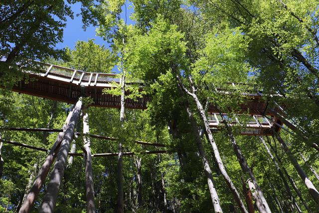 Imposant der Blick nach oben...