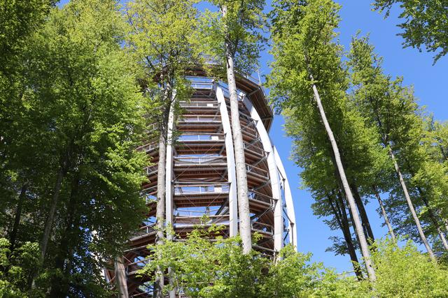 Aussichtsturm am Grünberg