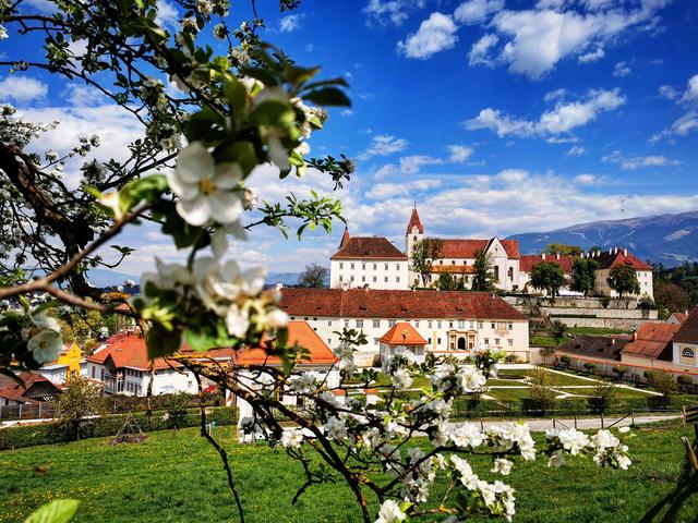 Der Frühling ist auch in der Marktgemeinde St. Paul im Lav. angekommen, wie hier mein Foto zeigt. Schön, oder? | Foto: Manuel Gosch 