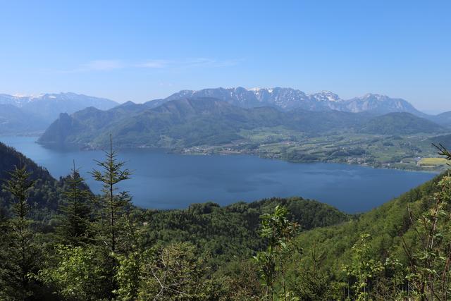 Am Weg zum Laudachsee hat man einen wunderbaren Blick auf den Traunsee