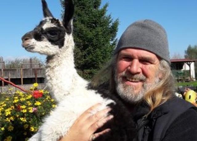 Das Tierpark-Team freut sich auch über Nachwuchs bei den Lamas. | Foto: KK