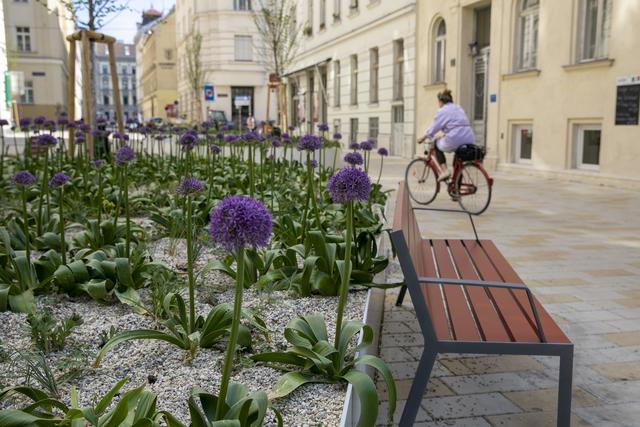 Die Blumenbeete erstrahlen in sattem Violett. | Foto: BV6