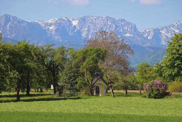 Blick in die oberösterreichischen Voralpen.