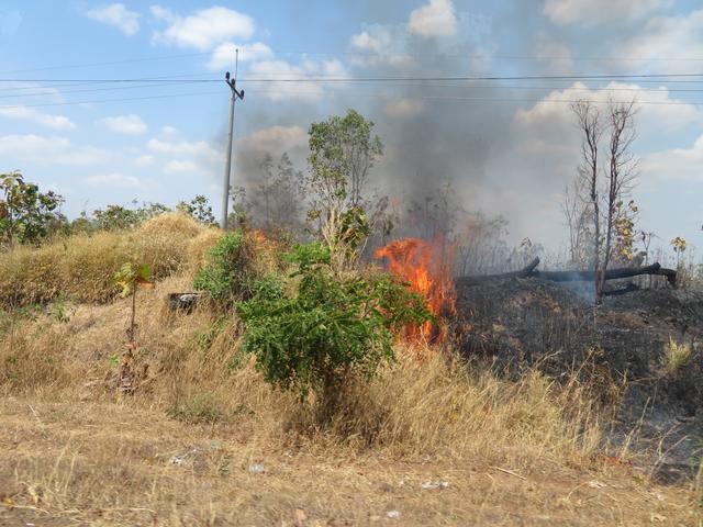 13.02.2020 neben der Landstraße Rodungsbrände