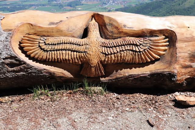 Eine schöne neue Schnitzarbeit am Grünberg.