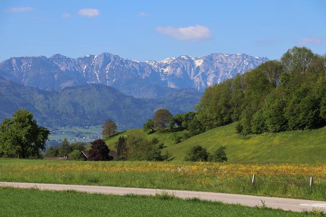 Hier gibt es noch "richtig-blühende" Wiesen. 