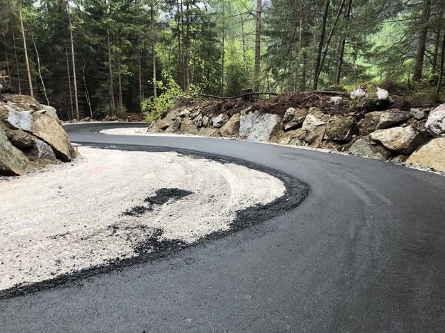 Mehrere Kurven wurden in das Gelände gezogen, um die Steigung zu verringern. | Foto: Schöpf
