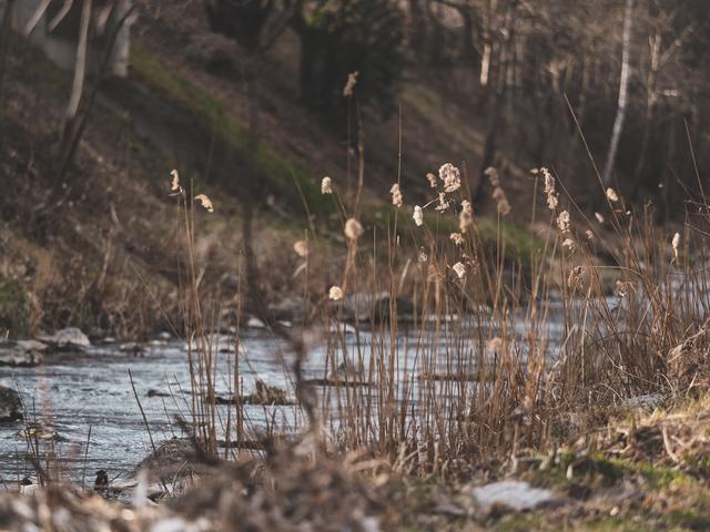 Der Wienfluss lädt zum Verweilen und Radeln ein.