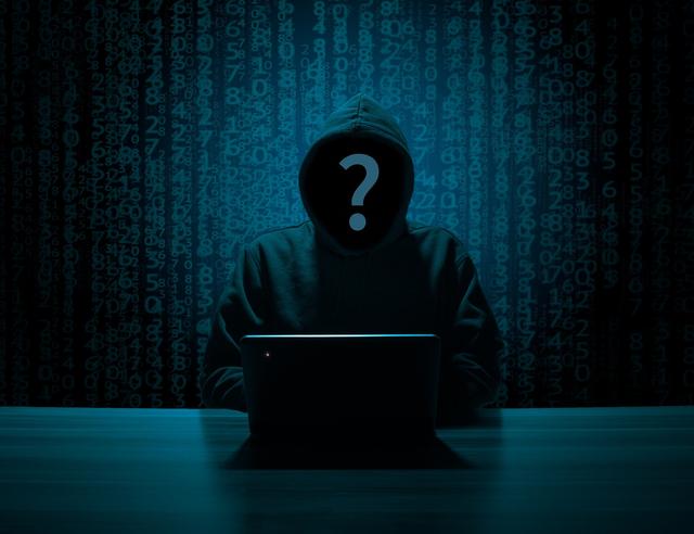 Die Zahlen im Bereich „Cybercrime“ sind auch im Bezirk Landeck tendenziell steigend (Symbolbild). | Foto: B_A/pixaby