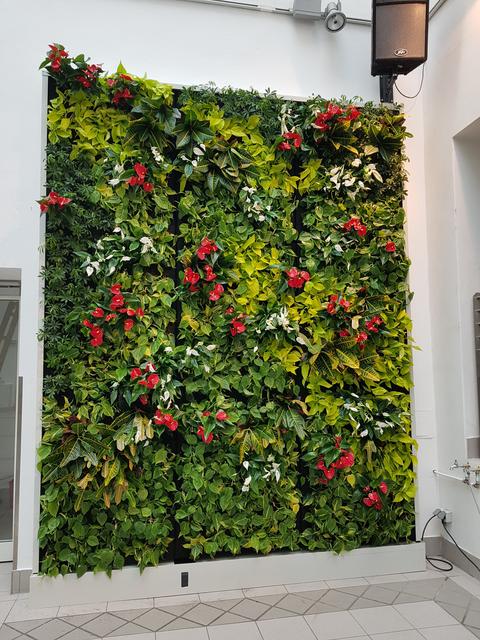 Die grüne Wand in der Aula des Parhamergymnasiums.