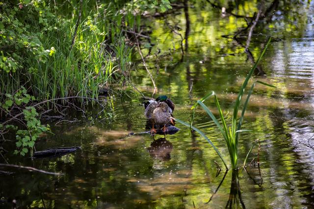 Waschen gehört zur täglichen Pflege