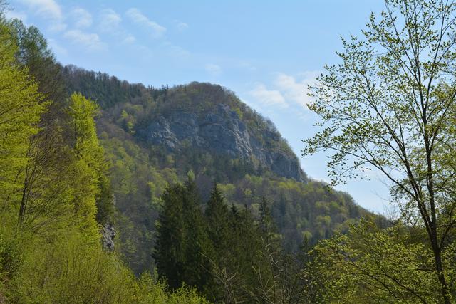 Unterwegs auf der Via Aqua: Von Gaming aus geht's auf der Tormäuerstraße über Filzmoos in die Urmannsau. | Foto: Roland Mayr