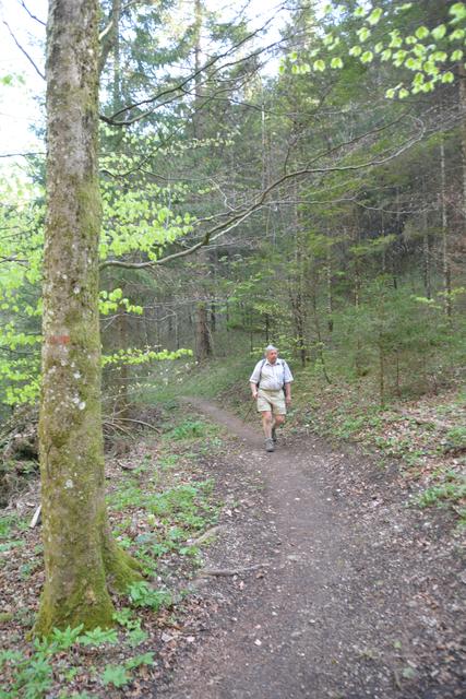 Unterwegs auf der Via Aqua: Auf einem Waldweg geht's von Kienberg nach Gaming. | Foto: Roland Mayr