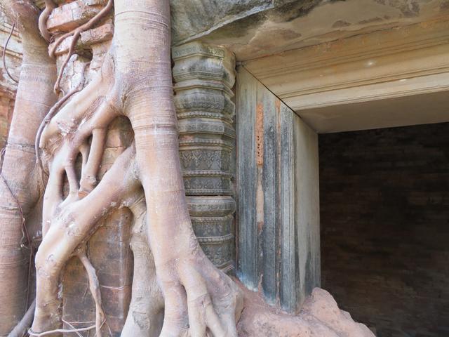 13.02.2020 Detail Prasat Pram - Baum und Tempel