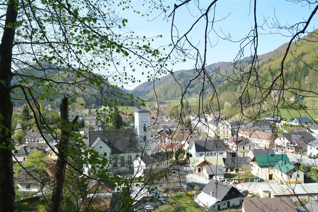 Unterwegs auf der Via Aqua: Herrlicher Blick auf die Marktgemeinde Gaming. | Foto: Roland Mayr