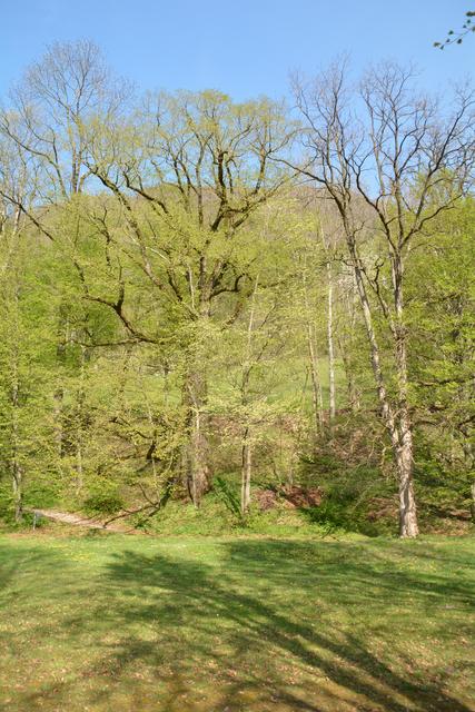 Unterwegs auf der Via Aqua: Wanderung in der Marktgemeinde Gaming. | Foto: Roland Mayr