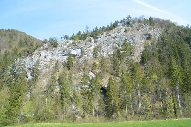 Unterwegs auf der Via Aqua: ´Schöne Rundwanderung von Kienberg nach Gaming. | Foto: Roland Mayr