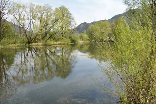 Unterwegs auf der Via Aqua: Der Teich am Areal des Stahlflaschen-Herstellers Worthington in Kienberg. | Foto: Roland Mayr