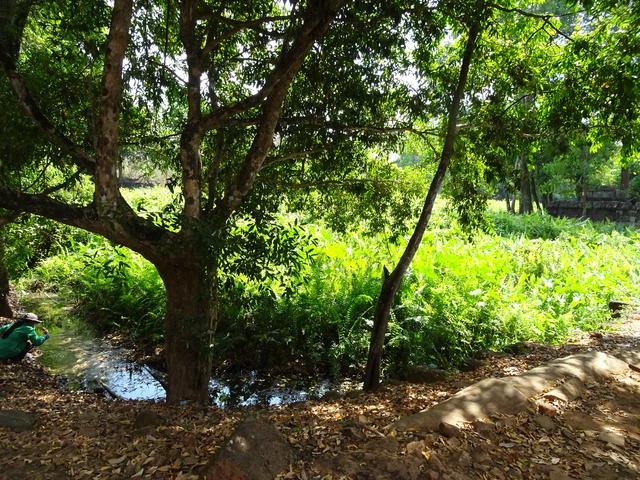 13.02.2020 Reste eines künstlichen Wasserbeckens