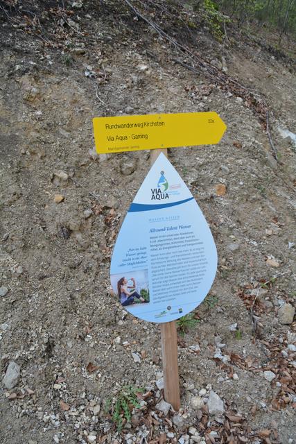 Unterwegs auf der Via Aqua: Auf einem Waldweg geht's von Kienberg nach Gaming. | Foto: Roland Mayr