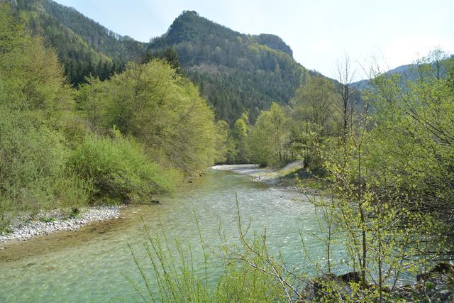 Unterwegs auf der Via Aqua: Die Erlauf offenbart sich in der Urmannsau in ihrer ganzen Pracht. | Foto: Roland Mayr