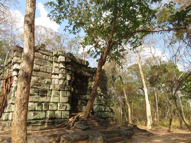 13.02.2020 Ein Tempel der Nordgruppe