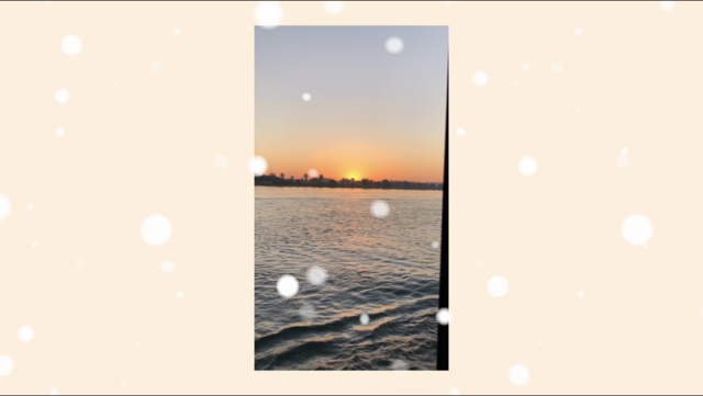Unser App-Tipp der Woche VLLO ist eine App zur Bearbeitung von Videos am Smartphone. Die App ist sehr umfangreich. Die APP ist kostenlos und die Videos ohne Wasserzeichen. | Foto: Screenshot