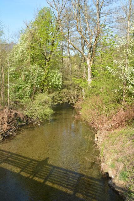 Unterwegs auf der Via Aqua: Entlang des Gamingbachs geht's von Kienberg nach Gaming. | Foto: Roland Mayr