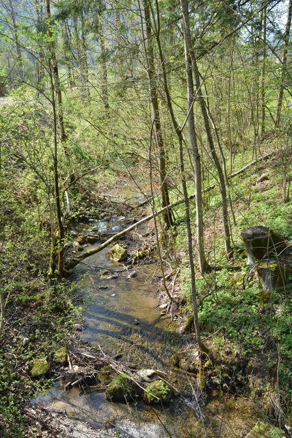 Unterwegs auf der Via Aqua: Überall fließen die Bächlein in der Marktgemeinde Gaming. | Foto: Roland Mayr