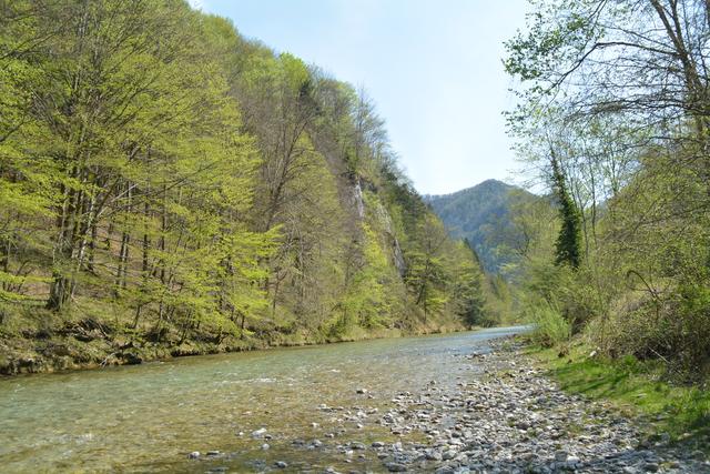 Unterwegs auf der Via Aqua: Die Erlauf offenbart sich in der Urmannsau in ihrer ganzen Pracht. | Foto: Roland Mayr