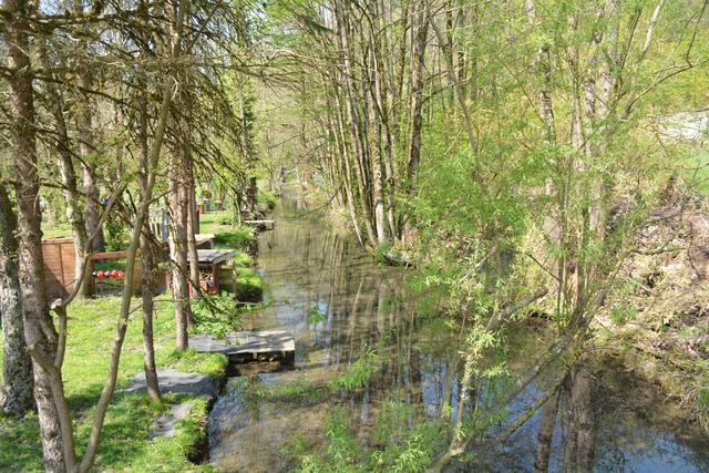 Unterwegs auf der Via Aqua: Überall fließen die Bächlein in der Marktgemeinde Gaming. | Foto: Roland Mayr