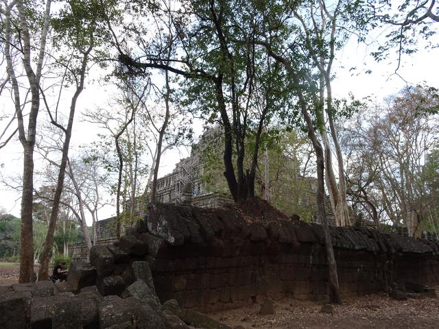 13.02.2020 Ein Blick zurück zur Pyramide