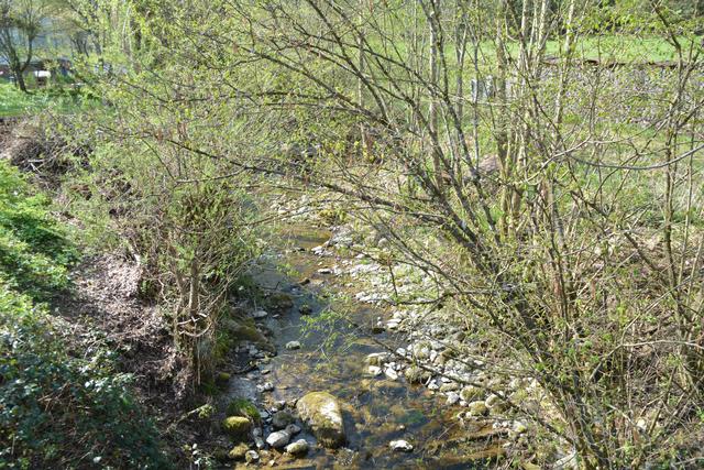 Unterwegs auf der Via Aqua: Überall fließen die Bächlein in der Marktgemeinde Gaming. | Foto: Roland Mayr