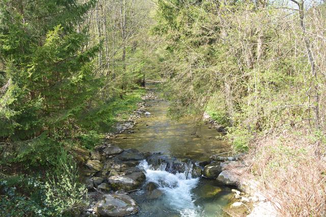 Unterwegs auf der Via Aqua: Überall fließen die Bächlein in der Marktgemeinde Gaming. | Foto: Roland Mayr