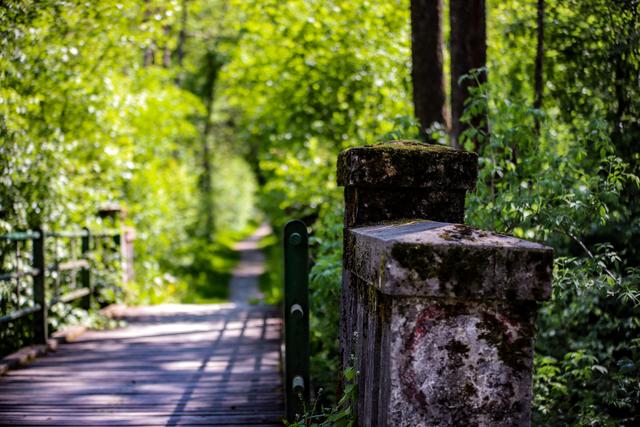 der Weg ist das Ziel....