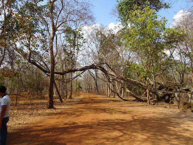 13.02.2020 die Verbindungsstraße zwischen den Tempeln