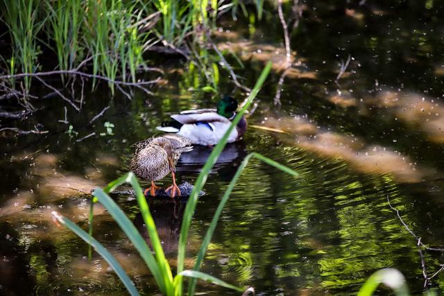 waschen Mann und Frau im gleichen Badezimmer